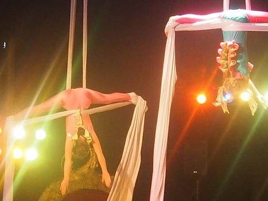 Cirkusforestilling: Akrobatik Salling Cirkus Kids - Museer